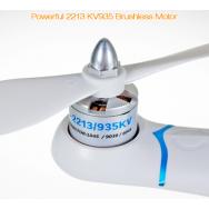 Detail motoru Detail motoru